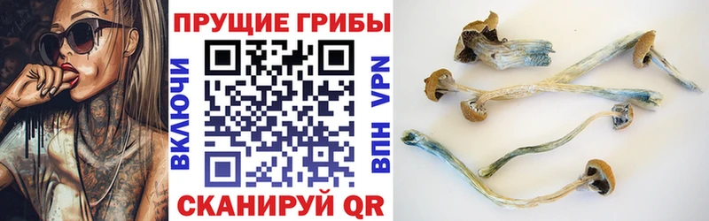 Галлюциногенные грибы мицелий Купить где Новотроицк